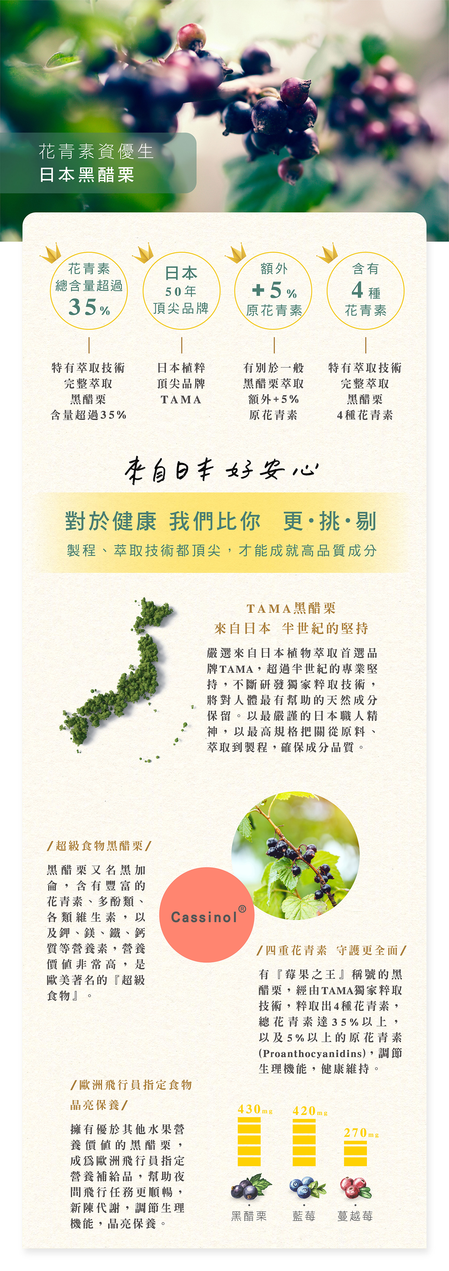 文字摘要