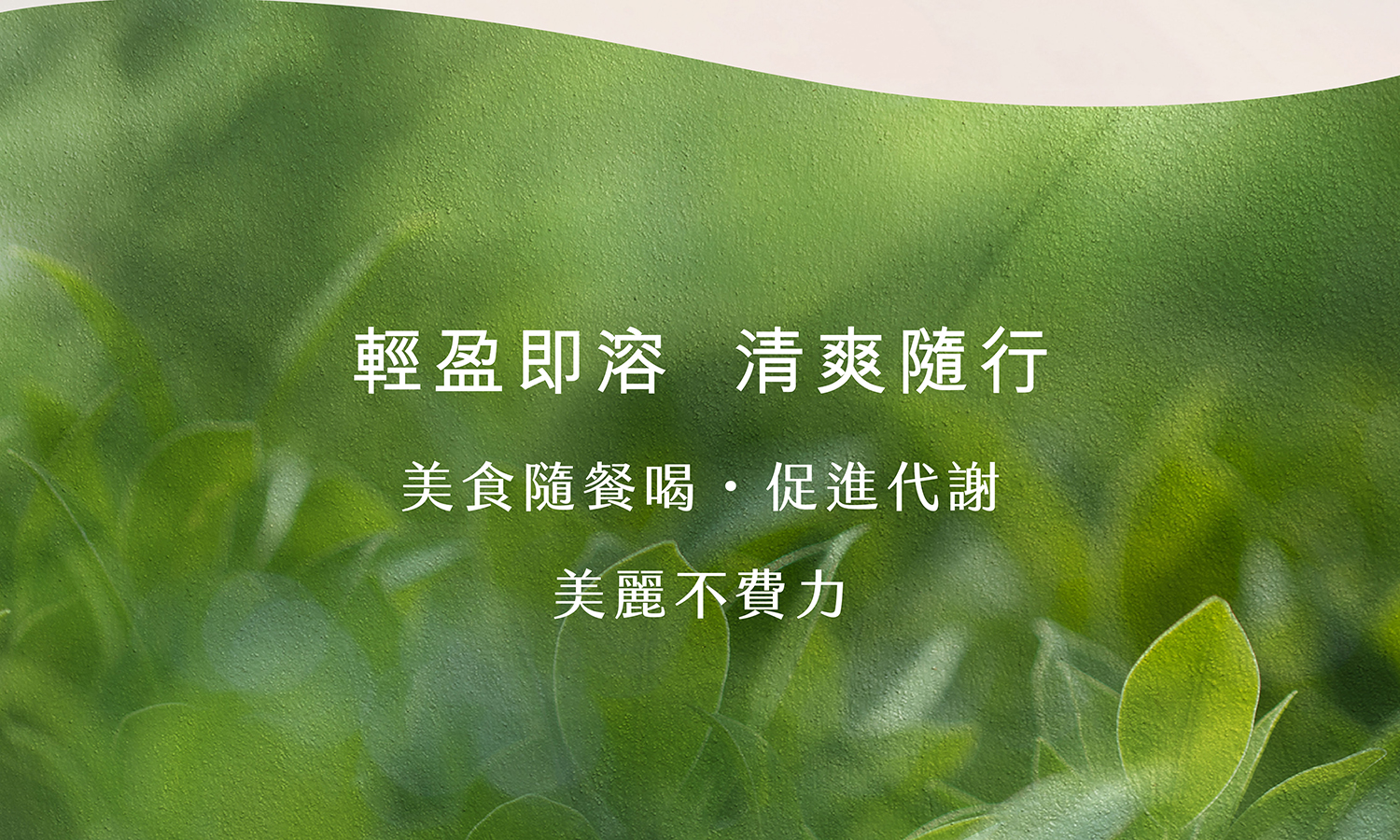 文字摘要