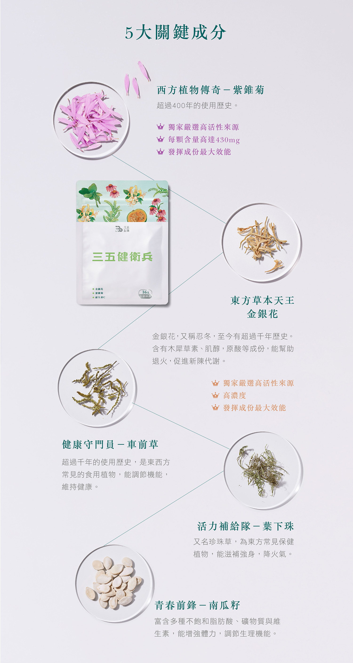 文字摘要